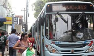 Atualmente, 23 empresas atuam no transporte coleti