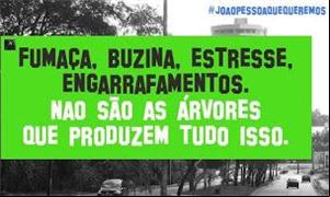 Avenida é uma das mais bonitas e arborizadas da ci
