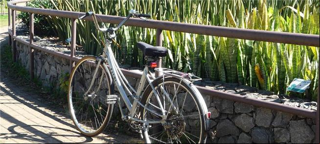 Bikes em alta, em SP