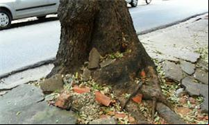 Irregularidades nas calçadas são risco para os ped