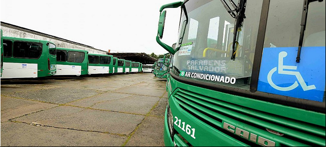 Novos ônibus foram apresentados em entrevista cole