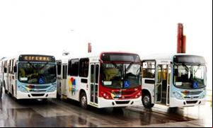 Novos ônibus