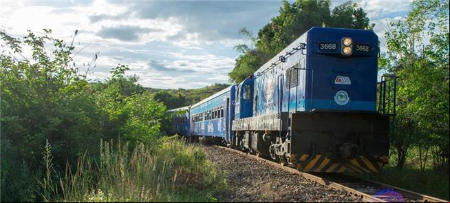 Projeto de sonho: um trem de verdade volta aos tr