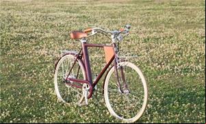 Vela 1, a bicicleta elétrica brasileira